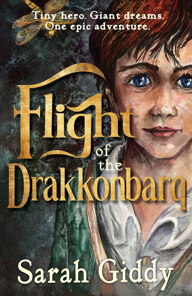 Flight of the Drakkonbarq image - Childrens Books - Image - Pop Weasel