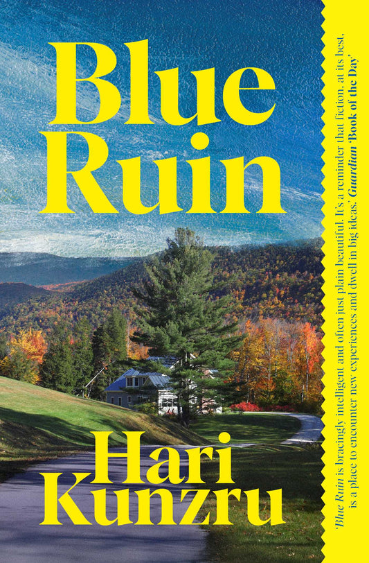 Blue Ruin image
