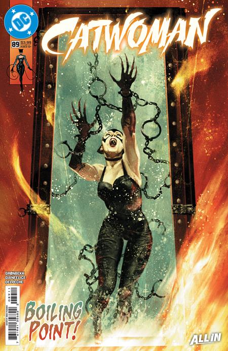 Catwoman - Comics - Image - Pop Weasel