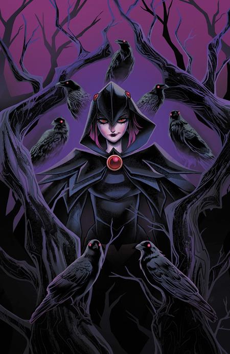 Dcs Quoth The Raven Whatever - Comics - Image - Pop Weasel