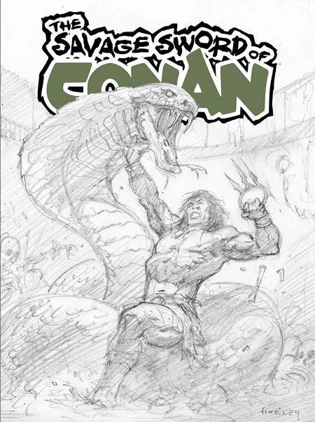 Savage Sword Of Conan #15 Sdcc Exclusive Alex Horley Cardstock Inks Var