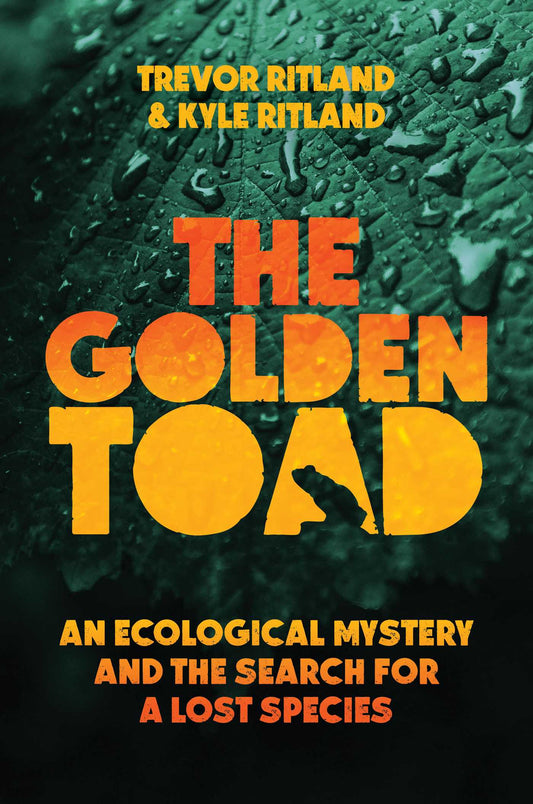 The Golden Toad An Ecological Mystery and the Search for a Lost Species image