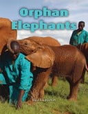 Orphan Elephants (Single Copy) - Childrens Books - Image - Pop Weasel
