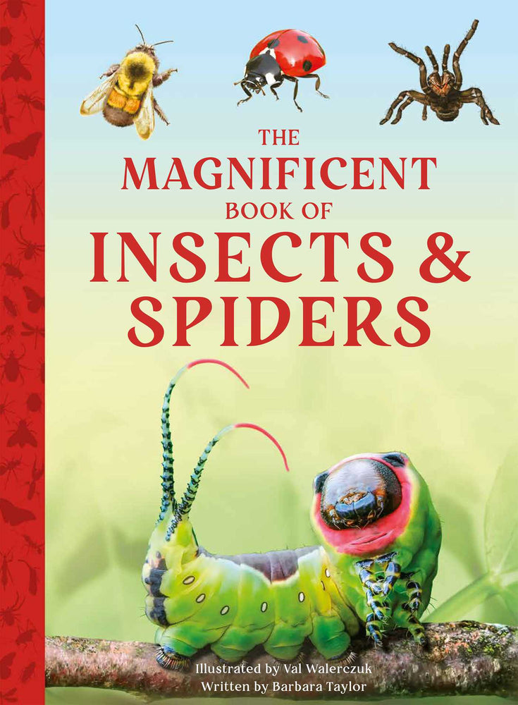 The Magnificent Book of Insects and Spiders - Childrens Books - Image - Pop Weasel