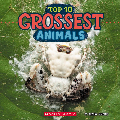 Grossest Animals - Books - Image - Pop Weasel