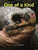 One of a Kind (Single Copy) - Childrens Books - Image - Pop Weasel