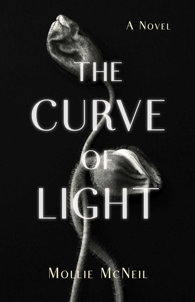 The Curve of Light: A Novel - Books - Image - Pop Weasel