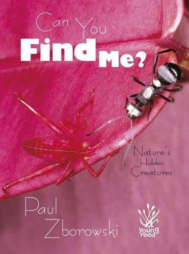 Young Reed:can You Find Me? - - None - - Image - Pop Weasel