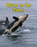 Born to be Free (Single Copy) - Childrens Books - Image - Pop Weasel