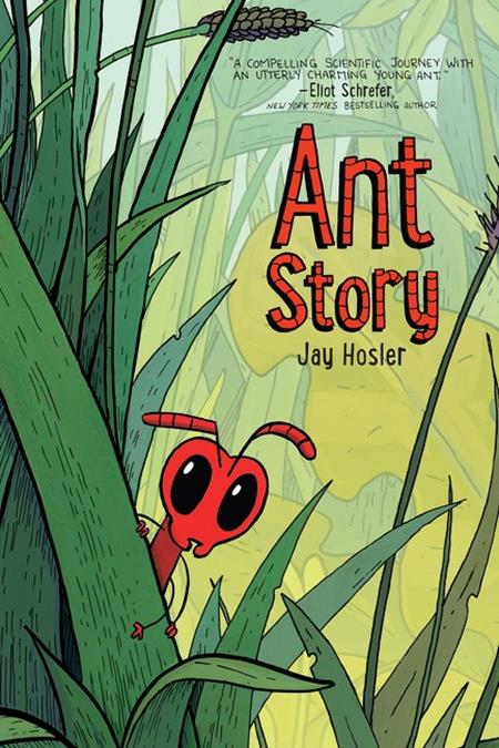 ANT STORY TP - Graphic Novels - Image - Pop Weasel