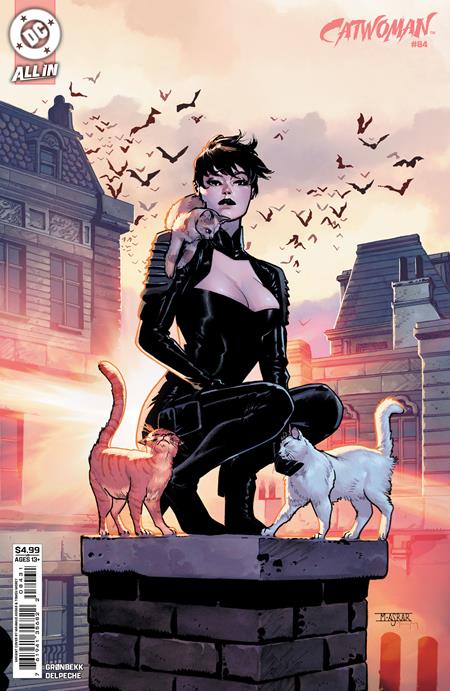 Catwoman - Comics - Image - Pop Weasel
