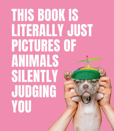 This Book Is Literally Just Pictures of Animals Silently Judging You | Hardcover - Graphic Novels - Image - Pop Weasel