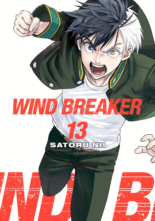 WIND BREAKER 13 - Image