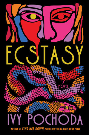 Ecstasy | Hardcover - Graphic Novels - Image - Pop Weasel