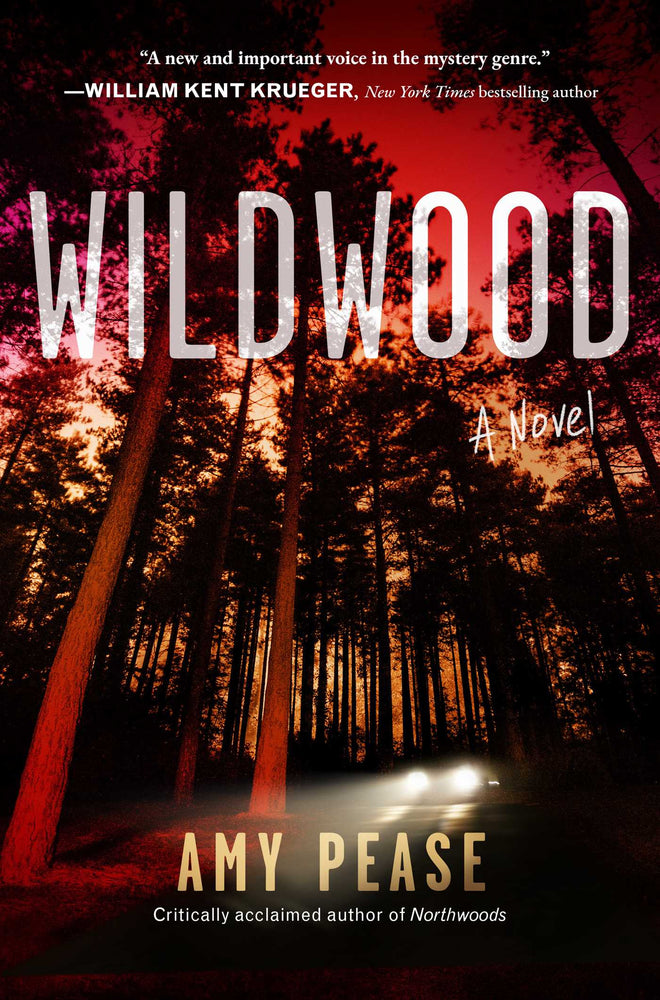 Wildwood: A Novel | TPB - Books - Image - Pop Weasel