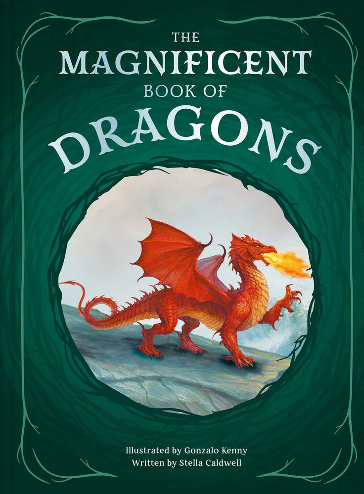 The Magnificent Book of Dragons image - Childrens Books - Image - Pop Weasel