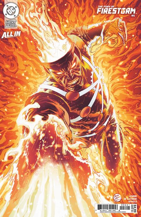 Fury Of Firestorm - Comics - Image - Pop Weasel