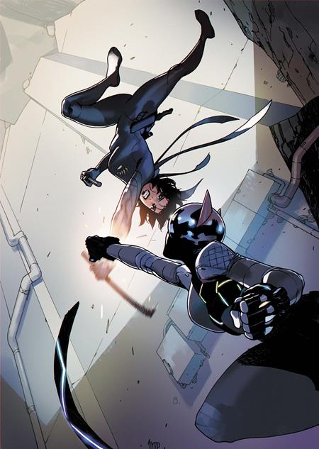 Absolute Catwoman - Comics - Image - Pop Weasel