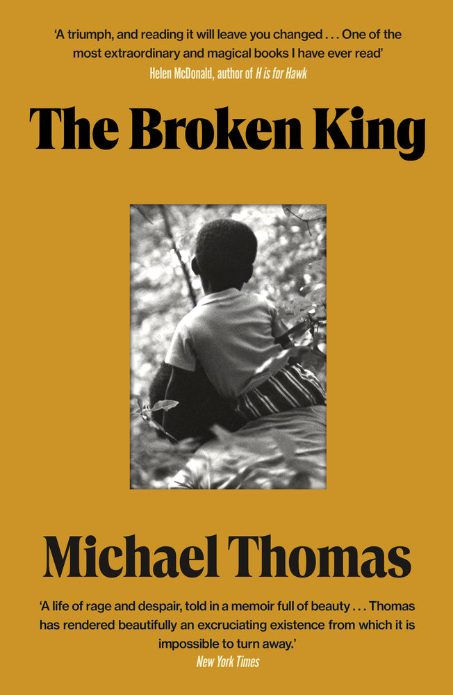 The Broken King: 'An Extraordinary Read' Guardian - Books - Image - Pop Weasel