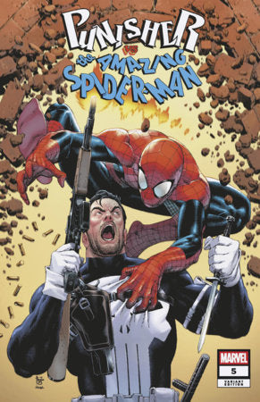 Punisher Vs. Spider-Man - Comics - Image - Pop Weasel