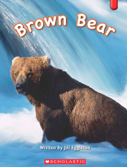 Brown Bear