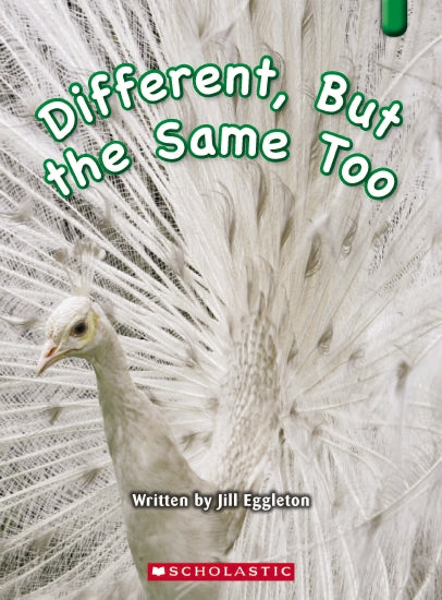 Different But The Same Too - Books - Image - Pop Weasel