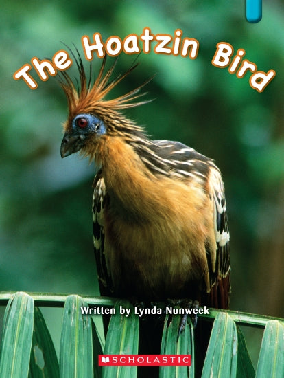 The Hoatzin Bird - Books - Image - Pop Weasel