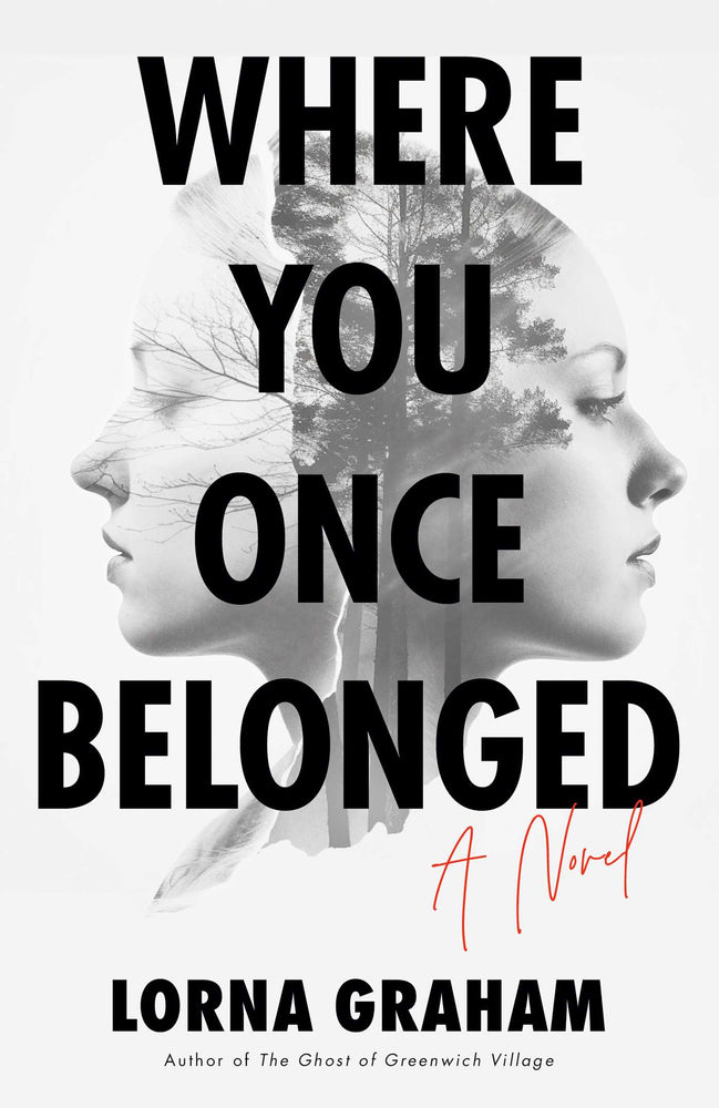  Where You Once Belonged A Novel image - Books - Image - Pop Weasel