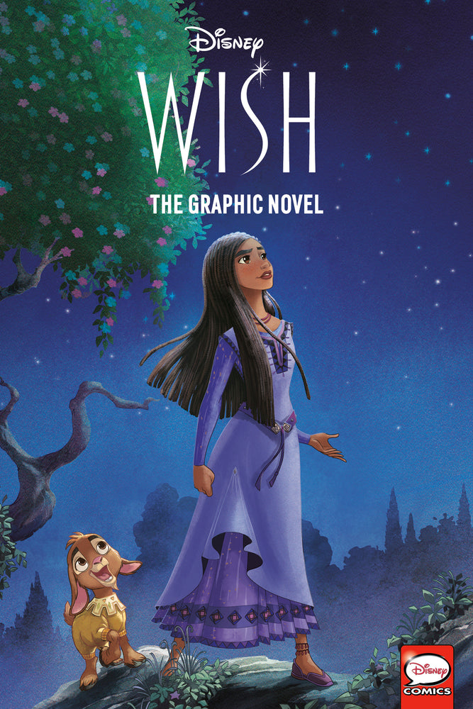Disney Wish: The Graphic Novel image - Books - Image - Pop Weasel