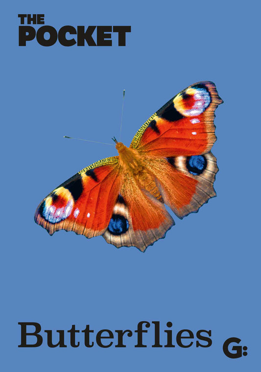 Pocket Butterflies