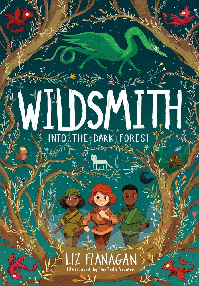 Wildsmith: Into the Dark Forest - Childrens Books - Image - Pop Weasel