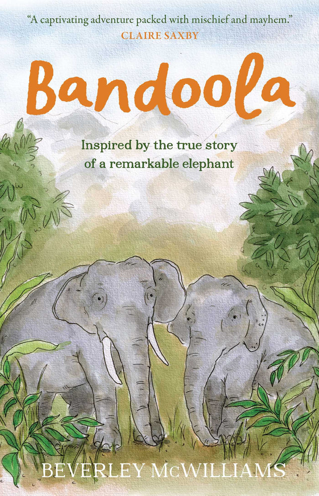 Bandoola: an Elephant's Story - Childrens Books - Image - Pop Weasel