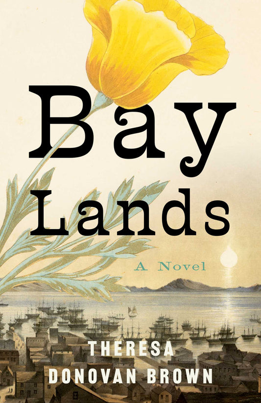 Bay Lands: A Novel