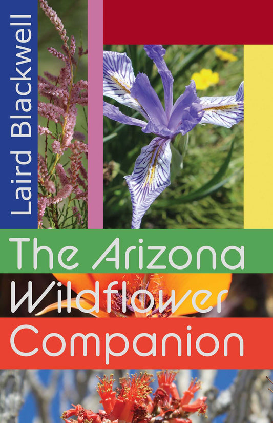 The Arizona Wildflower Companion