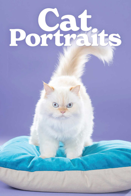Cat Portraits