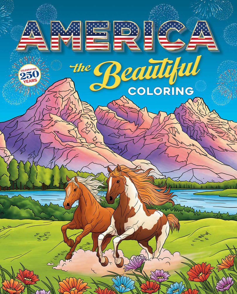 America The Beautiful Coloring - Books - Image - Pop Weasel