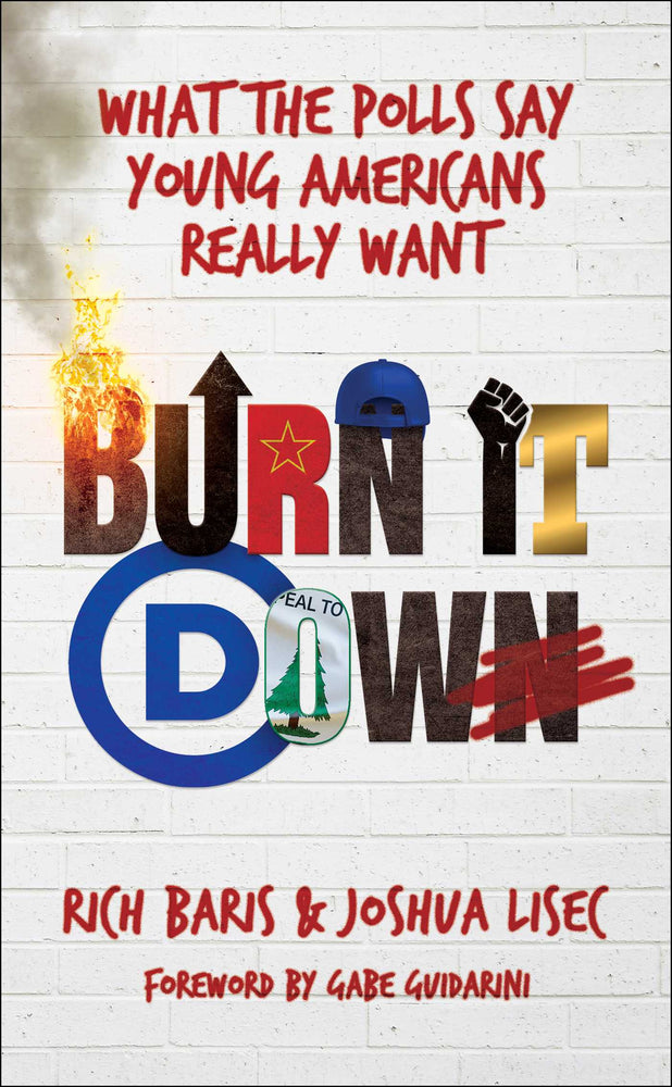 Burn It Down: What The Polls Say Young Americans Really Want - Books - Image - Pop Weasel