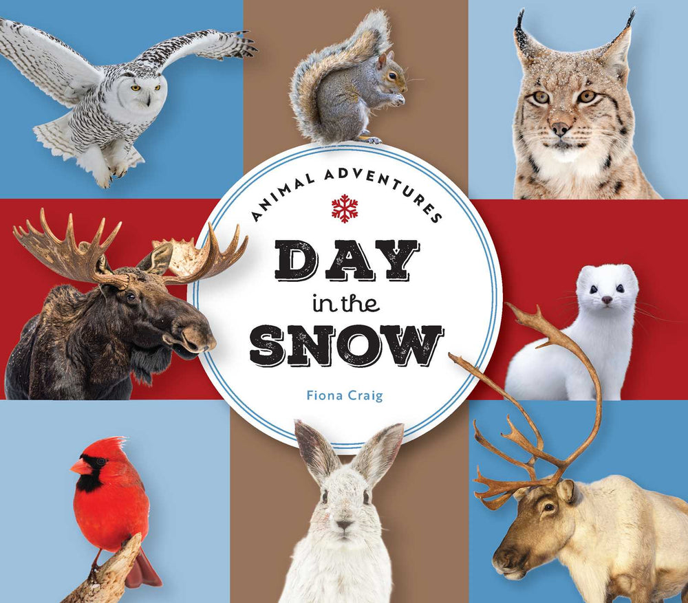Animal Adventures: Day in the Snow - Childrens Books - Image - Pop Weasel