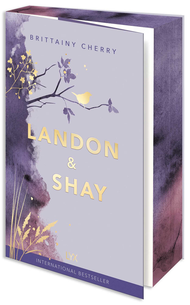Landon & Shay - Books - Image - Pop Weasel