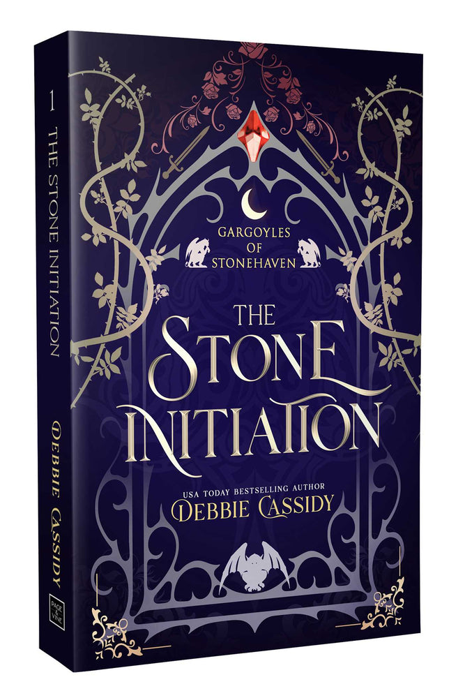 The Stone Initiation - Books - Image - Pop Weasel