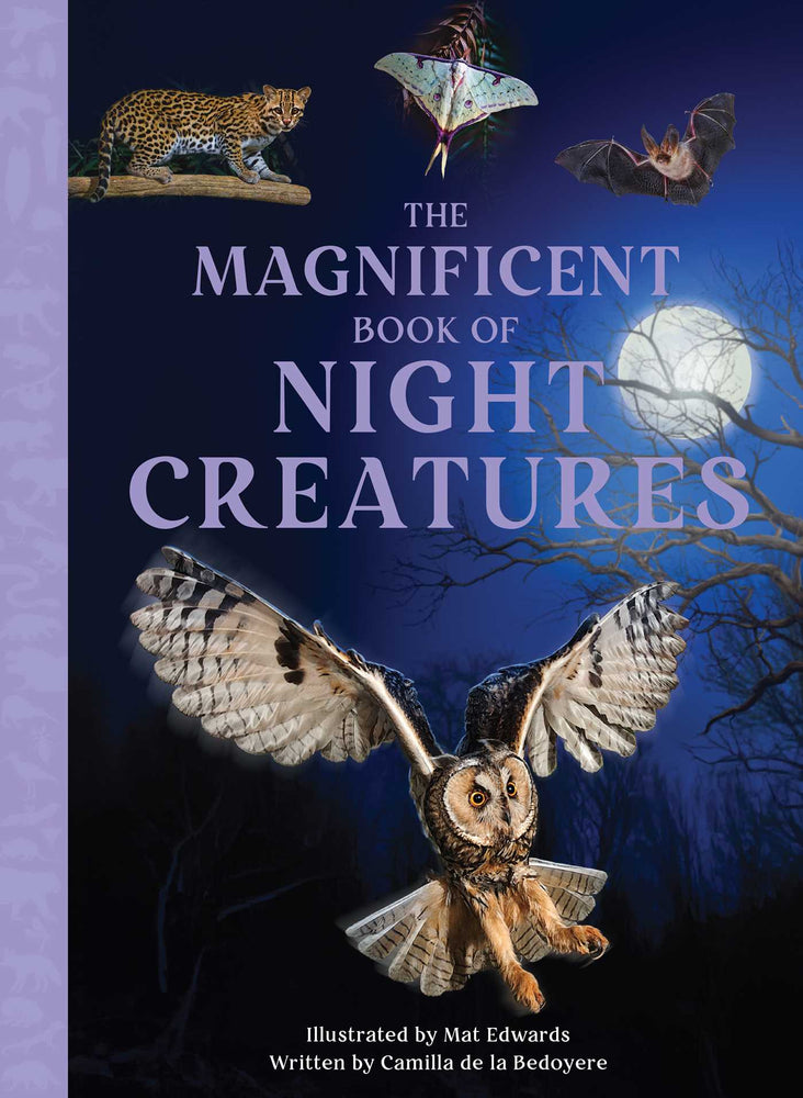 The Magnificent Book of Night Creatures - Childrens Books - Image - Pop Weasel
