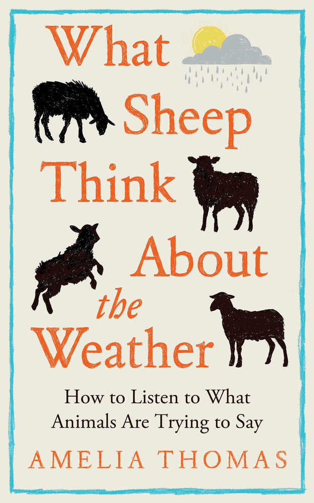 What Sheep Think About the Weather: How to listen to what animals are trying to say - Books - Image - Pop Weasel