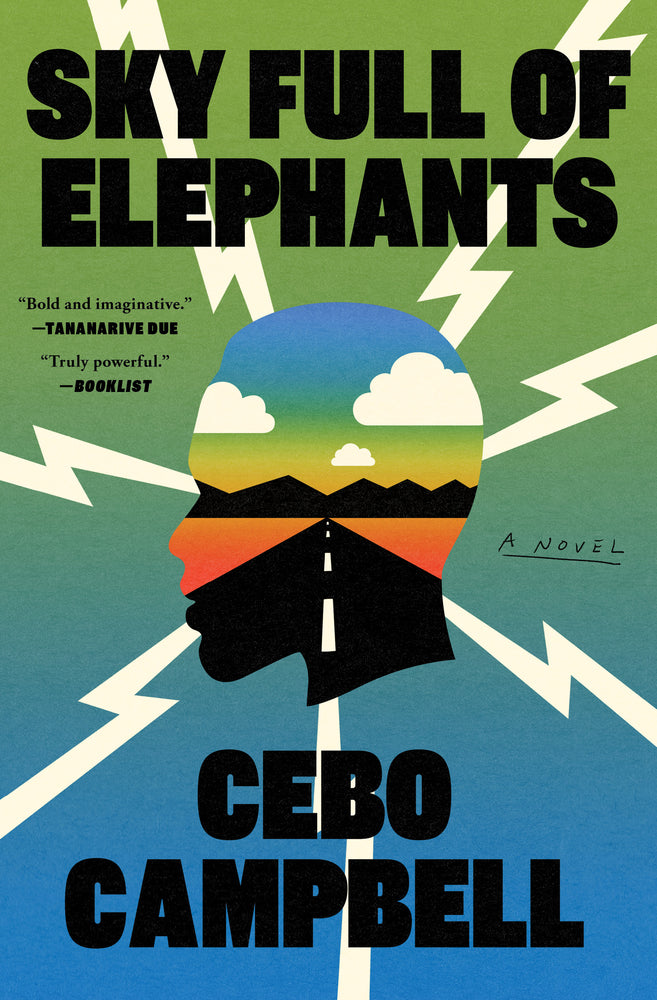 Sky Full Of Elephants: A Novel | TPB - Books - Image - Pop Weasel