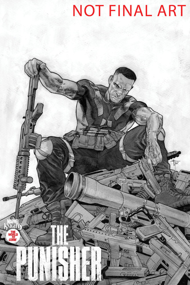 MARVEL KNIGHTS: PUNISHER - Comics - Image - Pop Weasel