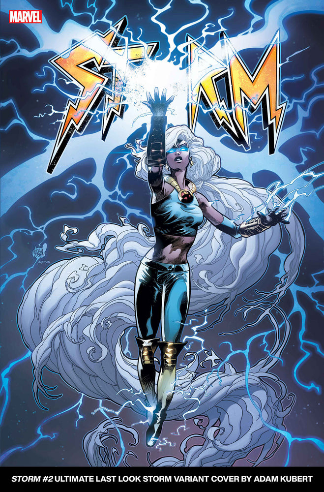 STORM 2 ADAM KUBERT ULTIMATE LAST LOOK VARIANT - Comics - Image - Pop Weasel