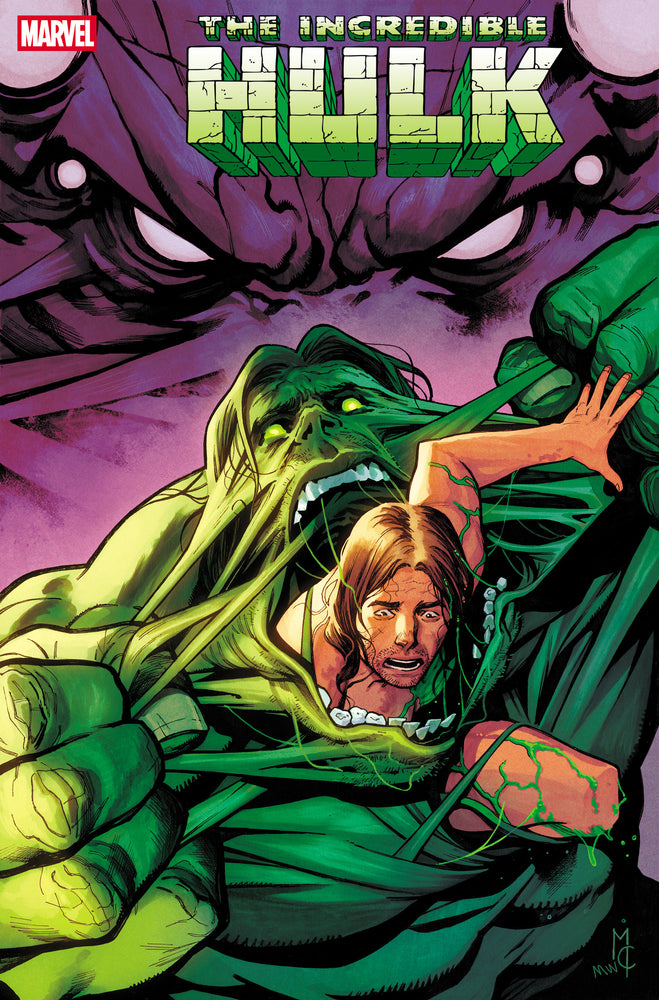 INCREDIBLE HULK - Comics - Image - Pop Weasel