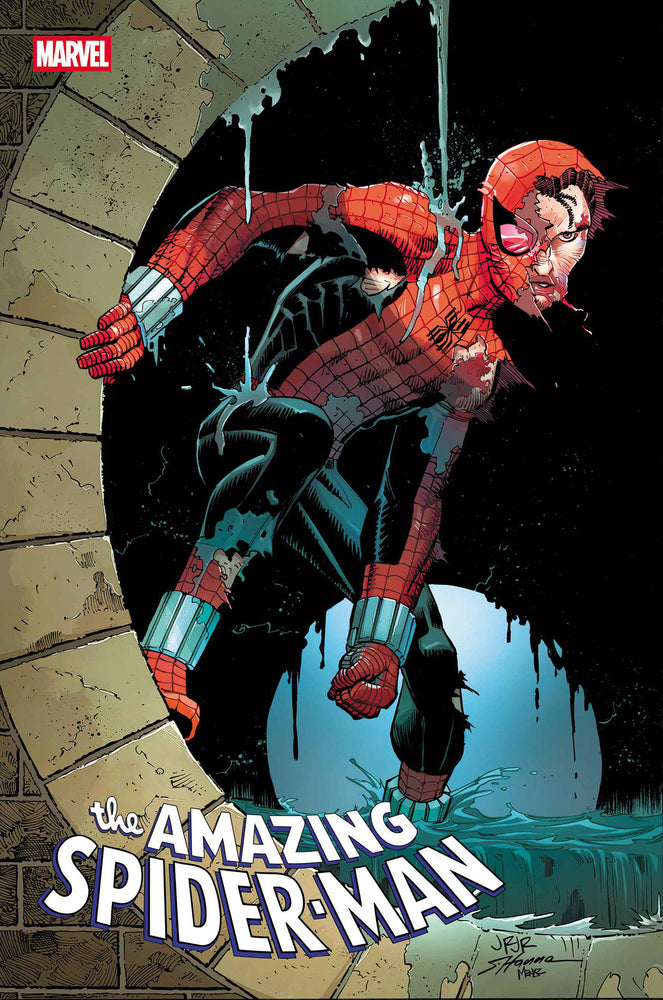 AMAZING SPIDER-MAN - Comics - Image - Pop Weasel