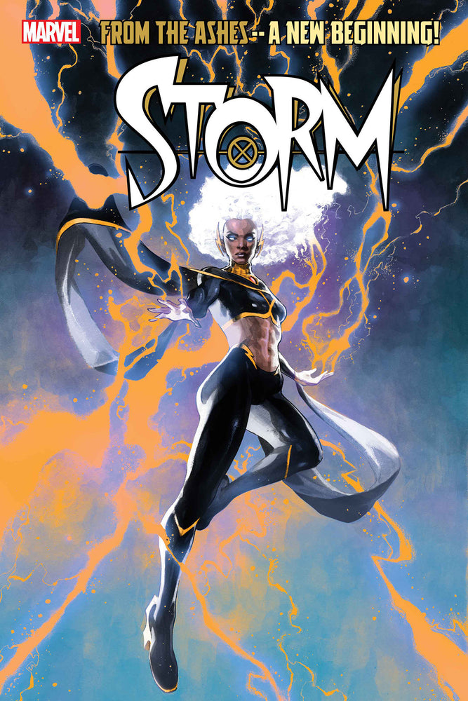 STORM - Books - Image - Pop Weasel