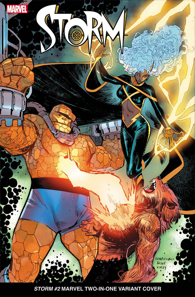 STORM - Comics - Image - Pop Weasel