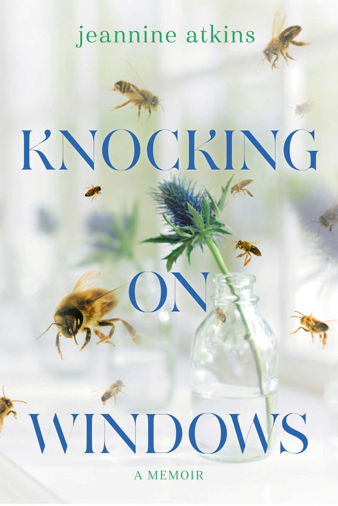 Knocking On Windows: A Memoir - Books - Image - Pop Weasel